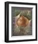 Hidden Treasure-Joadoor-Framed Art Print