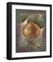 Hidden Treasure-Joadoor-Framed Art Print