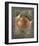 Hidden Treasure-Joadoor-Framed Art Print