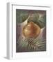 Hidden Treasure-Joadoor-Framed Art Print