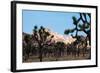 Hidden Valley II-Erin Berzel-Framed Photographic Print