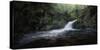 Hidden Waterfall in the Forest Unveils its Beauty-Zbyszek Nowak-Stretched Canvas