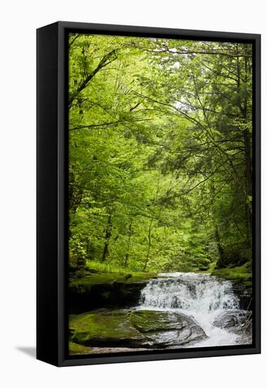 Hidden Waterfall Photo Print Poster-null-Framed Stretched Canvas