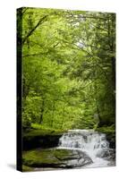 Hidden Waterfall Photo Print Poster-null-Stretched Canvas