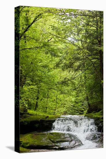 Hidden Waterfall Photo Print Poster-null-Stretched Canvas