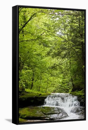 Hidden Waterfall Photo Print Poster-null-Framed Stretched Canvas