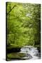 Hidden Waterfall Photo Print Poster-null-Stretched Canvas