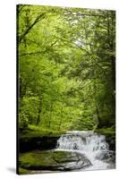 Hidden Waterfall Photo Print Poster-null-Stretched Canvas