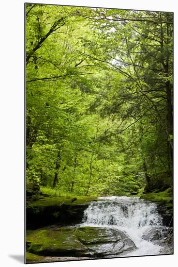 Hidden Waterfall Photo Print Poster-null-Mounted Poster