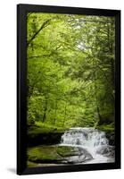 Hidden Waterfall Photo Print Poster-null-Framed Poster