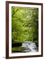 Hidden Waterfall-null-Framed Photo