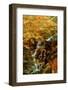 Hidden Waterfall-Lars Van de Goor-Framed Photographic Print