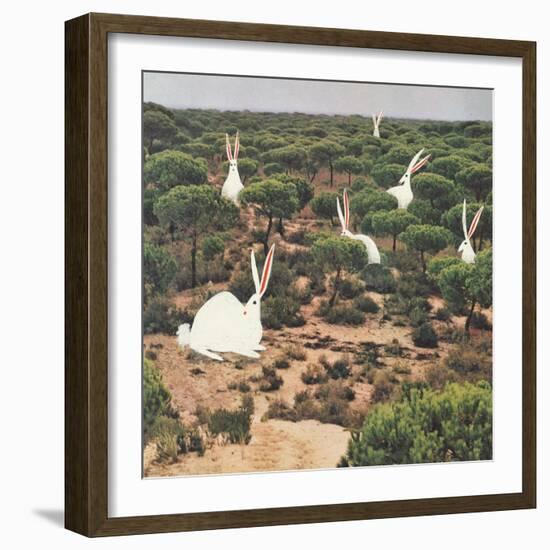 Hide and Peek-Danielle Kroll-Framed Giclee Print