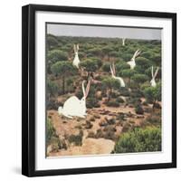 Hide and Peek-Danielle Kroll-Framed Giclee Print