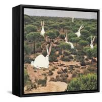 Hide and Peek-Danielle Kroll-Framed Stretched Canvas