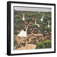 Hide and Peek-Danielle Kroll-Framed Giclee Print