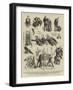 Hide and Seek at Westminster, Thought Reading by Mr Irving Bishop-Sydney Prior Hall-Framed Giclee Print