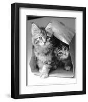 Hide and seek-Vikki Hart-Framed Art Print