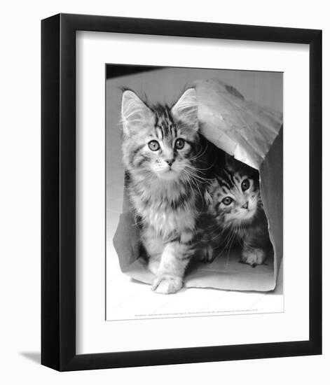 Hide and seek-Vikki Hart-Framed Art Print