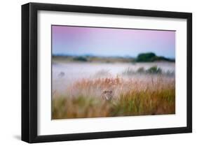 Hide and Seek-null-Framed Art Print