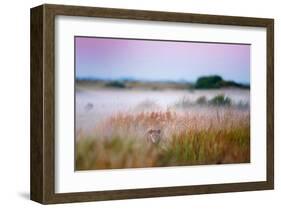 Hide and Seek-null-Framed Art Print