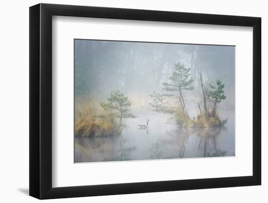 Hide and Seek-Andrew George-Framed Photographic Print