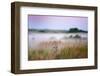 Hide and seek-Frits Hoogendijk-Framed Photographic Print