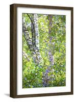 Hide and Seek-Mandy Budan-Framed Giclee Print