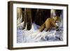 Hide and Seek-Michael Budden-Framed Giclee Print