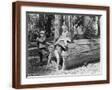 Brown Frame