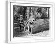 White Frame