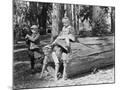 Wood Mount