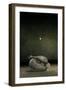 Hide My Self, 2013-Johan Lilja-Framed Giclee Print