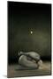 Hide My Self, 2013-Johan Lilja-Mounted Giclee Print