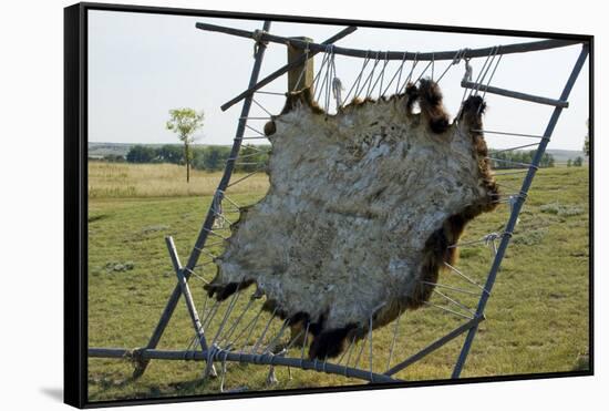 Hide Stretched on Native American Tanning Frame, North Dakota-Angel Wynn-Framed Stretched Canvas