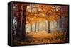 Hideaway-Ildiko Neer-Framed Stretched Canvas