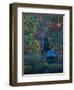 Hideaway-Steven Maxx-Framed Premium Photographic Print