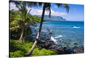 Hideaways Beach and the Na Pali Coast, Island of Kauai, Hawaii, USA-Russ Bishop-Stretched Canvas