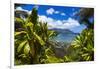 Hideaways Beach and the Na Pali Coast through tropical foliage, Island of Kauai, Hawaii, USA-Russ Bishop-Framed Photographic Print