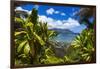 Hideaways Beach and the Na Pali Coast through tropical foliage, Island of Kauai, Hawaii, USA-Russ Bishop-Framed Photographic Print