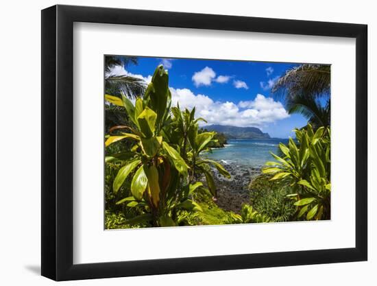 Hideaways Beach and the Na Pali Coast through tropical foliage, Island of Kauai, Hawaii, USA-Russ Bishop-Framed Photographic Print