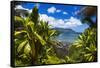 Hideaways Beach and the Na Pali Coast through tropical foliage, Island of Kauai, Hawaii, USA-Russ Bishop-Framed Stretched Canvas