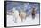 Hideout Ranch, Shell, Wyoming. Horse running through the snow.-Darrell Gulin-Framed Stretched Canvas