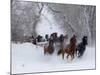 Hideout Ranch, Shell, Wyoming. Horse running through the snow.-Darrell Gulin-Mounted Photographic Print