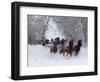 Hideout Ranch, Shell, Wyoming. Horse running through the snow.-Darrell Gulin-Framed Photographic Print