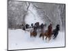 Hideout Ranch, Shell, Wyoming. Horse running through the snow.-Darrell Gulin-Mounted Photographic Print