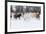 Hideout Ranch, Shell, Wyoming. Horse running through the snow.-Darrell Gulin-Framed Photographic Print