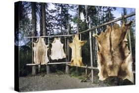 Hides Stretched over Wooden Racks for Tanning. Alaska (PR)-Angel Wynn-Stretched Canvas