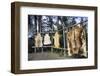 Hides Stretched over Wooden Racks for Tanning. Alaska (PR)-Angel Wynn-Framed Photographic Print