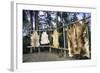 Hides Stretched over Wooden Racks for Tanning. Alaska (PR)-Angel Wynn-Framed Photographic Print